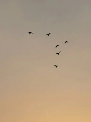 A saudade do que quase aconteceu.