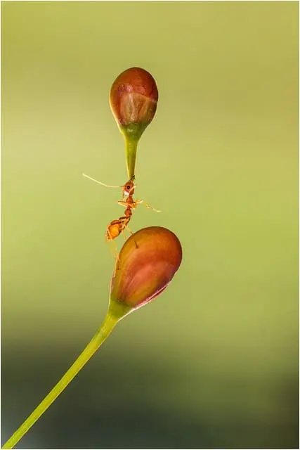 Ser frágil não é sinônimo de fraqueza
